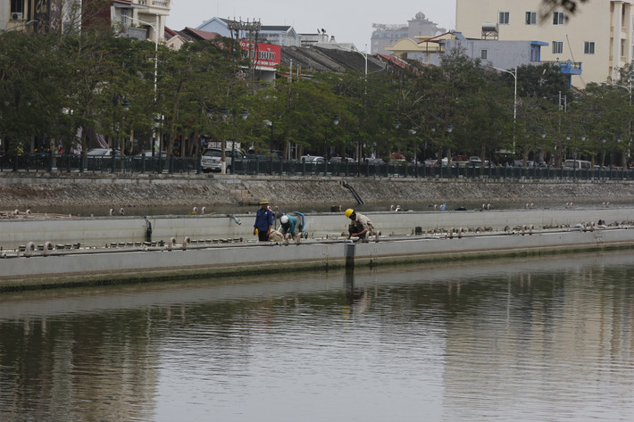 Được triển khai từ tháng 12/2014, dự án nhạc nước hồ Tam Bạc có tổng mức đầu tư là 194,96 tỷ đồng do Sở Văn hóa - Thể thao - Du lịch TP Hải Phòng làm chủ đầu tư, nhà thầu thi công là Công ty TNHH Du lịch Sơn Lâm (Công ty Sơn Lâm). UBND TP đã cấp kinh phí cho dự án là 90,8 tỷ đồng. Trong đó, chủ đầu tư đã chi tạm ứng theo hợp đồng cho công ty Sơn Lâm là 88,5 tỷ đồng/179,83 tỷ đồng (chiếm 49% giá trị hợp đồng).