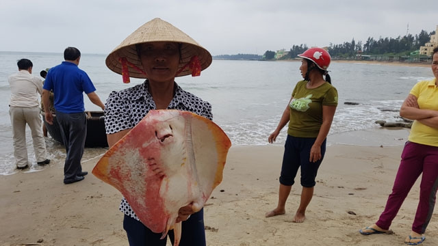 Trong quá trình truy tìm nguyên nhân cá chết hàng loạt ở 4 tỉnh miền Trung, nhiều nghi vấn về độc tố hoá học thải từ Công ty TNHH Gang thép Hưng Nghiệp Formosa Hà Tĩnh (Formosa). Hệ thống xả thải ngầm không đảm bảo và nhiều phụ phẩm độc hại của Formosa bị cho là nguyên nhân chính khiến môi trường biển biến động đột ngột, cá tầng đáy chết hàng loạt. Công ty này có đường ống xả thải dài 1,5 km, đường kính hơn một mét được chạy ngầm dưới biển. Tuy nhiên khi đó, lãnh đạo Formosa bác bỏ với lý do "cá nuôi trong hệ thống này vẫn sống". Ảnh Báo Nhân dân.