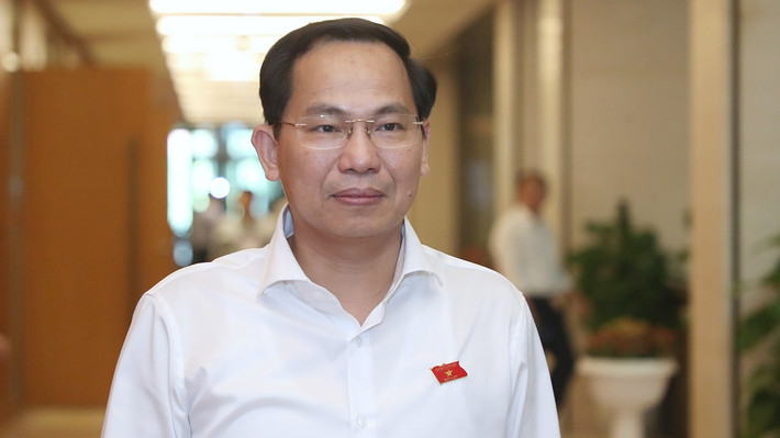 Ông Lê Quang Mạnh từng trải qua nhiều vị trí công tác như cán bộ Vụ Công nghiệp; Chuyên viên Vụ Quản lý khu công nghiệp - khu chế xuất; Chuyên viên, Phó Trưởng phòng Hợp tác quốc tế, Cục Phát triển doanh nghiệp nhỏ và vừa; Phó Trưởng phòng, Trưởng phòng Đăng ký kinh doanh, Cục Phát triển doanh nghiệp nhỏ và vừa; Phó Cục trưởng Cục Phát triển doanh nghiệp nhỏ và vừa; Phó Cục trưởng phụ trách Cục Quản lý đăng ký kinh doanh, Bộ Kế hoạch và Đầu tư.