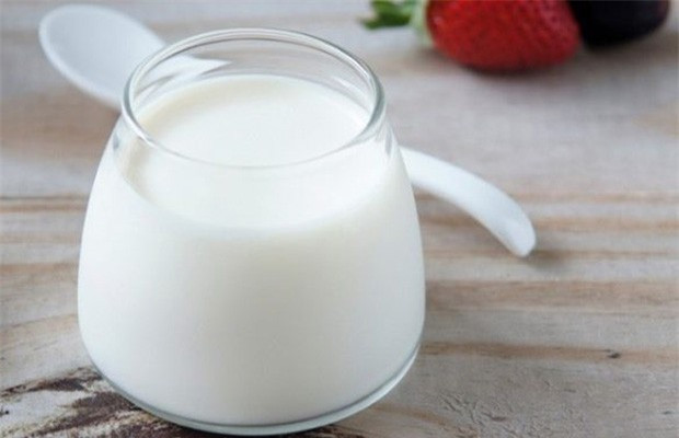 Sữa chua có thể bảo vệ niêm mạc dạ dày, làm chậm quá trình hấp thụ rượu. Hơn nữa, hàm lượng canxi phong phú trong sữa chua còn rất tốt cho việc giải tỏa khó chịu sau khi uống rượu say. Ảnh: Internet.