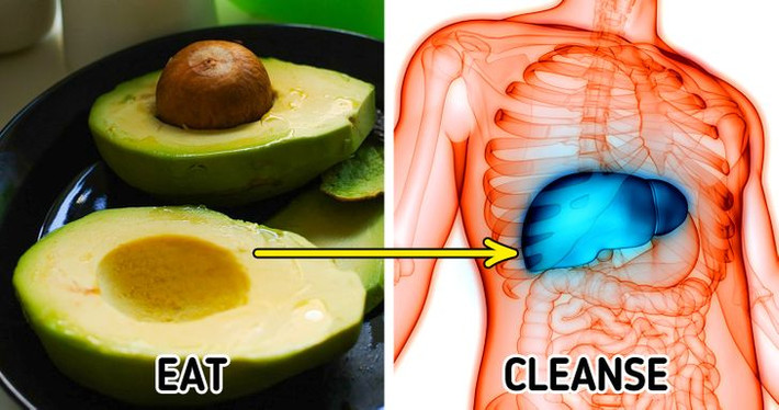 Sau đây là một số thực phẩm tự nhiên giúp thải độc cơ thể hiệu quả. Quả bơ rất giàu dinh dưỡng, đặc biệt là glutathione, chất giúp thải độc gan, giảm nguy cơ ung thư. Với những người bị huyết áp cao, thường xuyên ăn bơ giúp hạ huyết áp một cách tự nhiên, giảm nguy cơ mắc bệnh tim và đột quỵ.