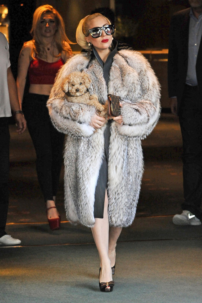 Lady Gaga cũng bị chỉ trích bởi tổ chức bảo vệ động vật PETA khi mặc một chiếc áo khoác lông thú.