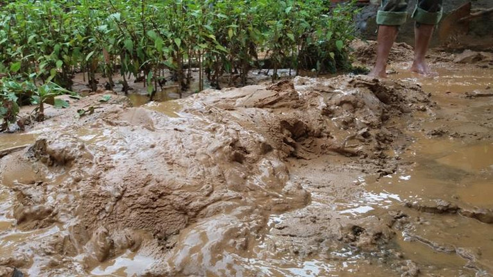 Người dân khu 3, phường Hà Trung phản ánh, đêm 2/8, trận mưa lớn trút xuống. Chỉ sau đó khoảng 40 phút, bùn đất trên đồi theo nước mưa chảy xuống bao trùm hết toàn bộ khu dân cư số 3 khiến những con đường dân sinh ngập bùn đất lên đến 50cm. Bùn đất phủ lấp hệ thống thoát nước khiến lượng lớn bùn đất, đá sỏi tiếp tục chảy tràn vào nhà các hộ dân.