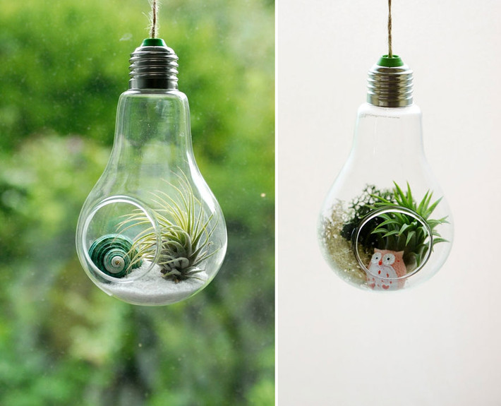 Một trong những cách tái chế bóng đèn cũ, hỏng hay ho nhất đó là biến chúng thành những vườn ươm nhỏ xinh như thế này.