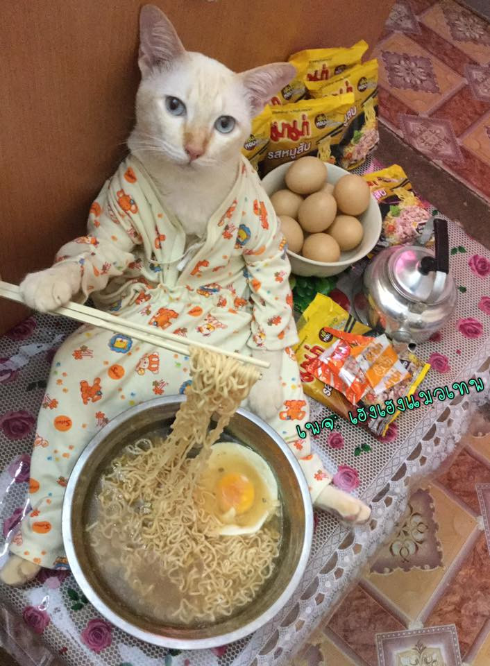 Khi có một mình, chúng cũng chỉ gần ăn mỳ tôm trứng.