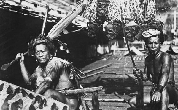 Giống như nhiều bộ tộc thời xưa, người Dayak thường phải đối mặt với những cuộc chiến tranh giành lãnh thổ, thức ăn... với những bộ lạc láng giềng.