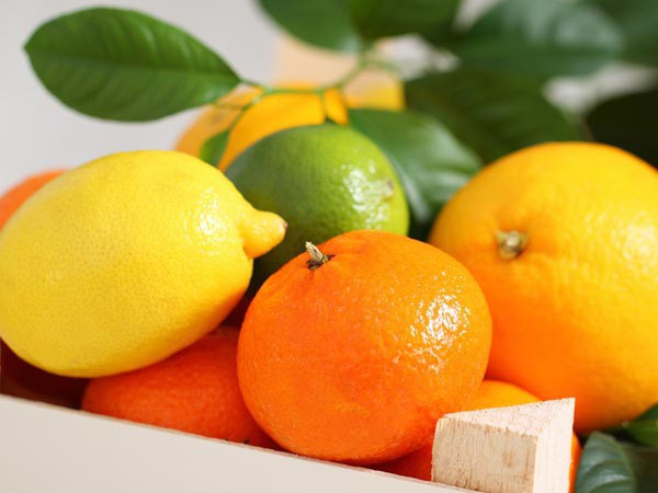 Vì vậy vào dịp đầu năm người ta thường tặng nhau những quả quýt to màu đỏ với hy vọng cả năm sung túc, đại cát đại lợi.