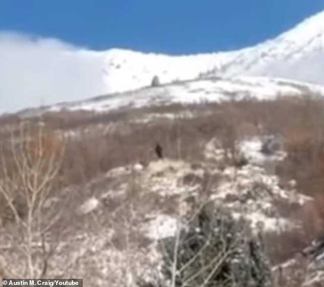 Quái vật Bigfoot là một trong những sinh vật kỳ bí được con người săn tìm nhiều nhất trong những năm qua.