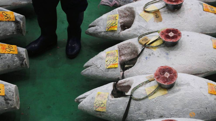 Chợ Tsukiji có phiên đấu giá cuối cùng vào ngày 6/10 năm ngoái, trước khi tạm ngừng hoạt động để chính thức chuyển đến địa điểm mới tại Toyosu, cách đó vài km về phía Đông.