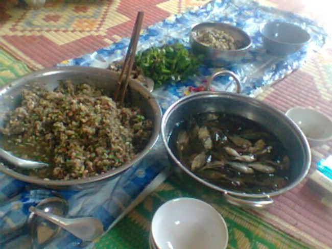 Y học đã chứng minh rằng, những loại ký sinh trùng, giun sán nhiễm vào người do ăn cá sống sẽ xâm nhập vào cơ thể, gây bất lợi cho gan, các cơ quan nội tạng làm bạn nhiễm giun sán. Ảnh: Dacsanmiennui.