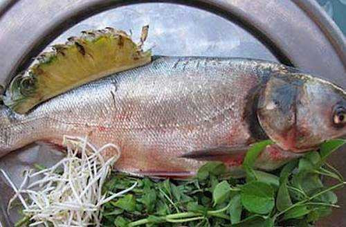 Ăn cá khi bị ho cũng không tốt cho sức khỏe vì một số loại cá có chứa nhiều histamine. Nếu bạn ăn cá và đưa chất này vào cơ thể quá nhiều nó sẽ xâm nhập vào quá trình tuần hoàn máu, gây ra hiện tượng dị ứng với histamine. Ảnh: Songkhoe.