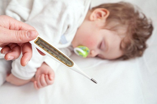 Trẻ nhỏ sốt cao co giật lấy lá chàm mèo phơi khô tán bột đem hòa nước cho trẻ uống trong ngày. Ảnh: Cẩm nang y học.