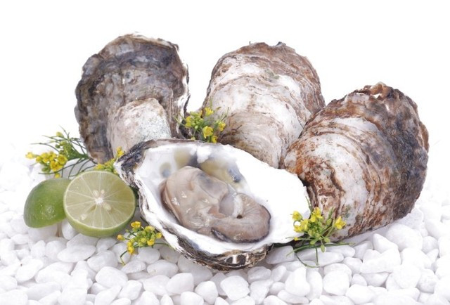 Trị chứng đới hạ, sưng đau tinh hoàn cho nam giới: Tảo côn bố, mẫu lệ (vỏ hàu), quất hạt, tiểu hồi mỗi vị 12g đem sắc lên uống mỗi ngày 1 thang. Ảnh: Hội chữ thập đỏ.