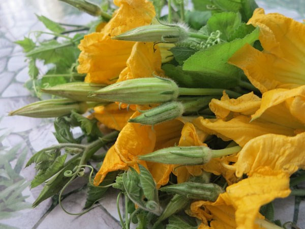 Không chỉ có ngọn bí, hoa bí đỏ cũng được công nhận là một trong những thực phẩm tuyệt vời, tốt cho sức khỏe có thể bảo vệ tim mạch, cầm máu, cải thiện giấc ngủ, nâng cao sức đề kháng… Ảnh: Sức khỏe nhi.