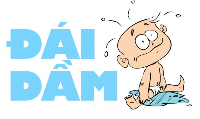Trẻ nhỏ hay người lớn đái dầm không kiểm soát lấy 1 cái bàng quang lợn hầm cùng với 3g tổ bọ ngựa ăn kèm cơm. Ngoài ra, có thể kết hợp tổ bọ ngựa, ích trí nhân sấy khô nấu nước cho người bệnh uống. Ảnh: CottuF.