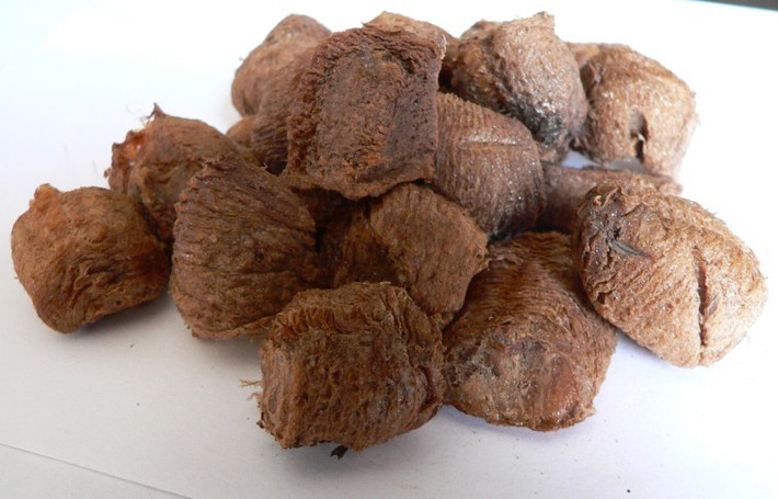 Có rất nhiều cách chế biến bài thuốc từ vị thuốc tổ bọ ngựa nhưng phổ biến nhất là sao giòn tán bột hoặc đập dập để kết hợp cùng các vị thuốc khác. Ảnh: Cây thuốc.