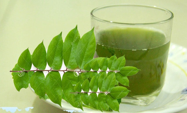 Uống nước lá khế trị viêm đường tiết niệu hoặc viêm nhiễm phụ khoa ở phụ nữ. Ảnh: Dân trí.