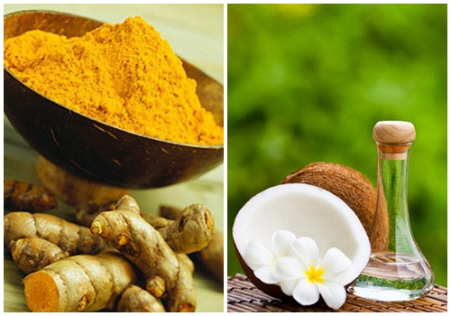 Không chỉ có công thức chữa bệnh đau dạ dày từ dừa của nghệ sĩ Nguyễn Văn Toản nhận được quan tâm rất lớn của cộng đồng mạng mà bài thuốc chữa bệnh gout từ dừa và trầu không của ông cũng được rất nhiều người tìm kiếm. Ảnh: Cây thuốc quý.