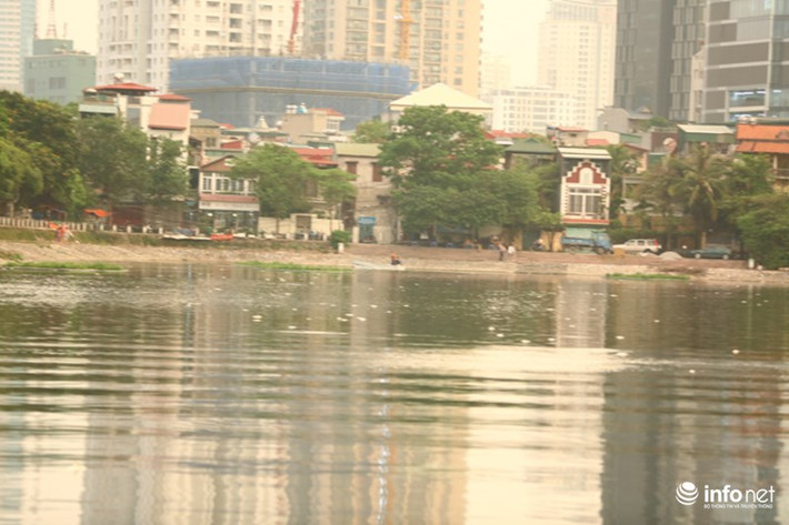 Cá chết nổi trắng hồ kèm theo mùi hôi tanh nồng nặc khiến người dân khó chịu.
