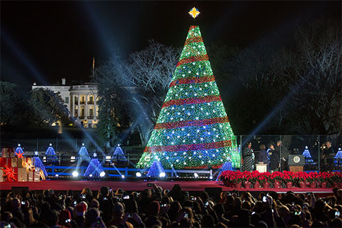 Cây thông Noel cao hơn 14m tại Nhà Trắng: Năm nay, lễ thắp sáng cây thông Noel quốc gia lần thứ 93 sẽ diễn ra vào ngày mai 3/12. Hoạt động này trở thành truyền thống hàng năm của Nhà Trắng từ năm 1923.