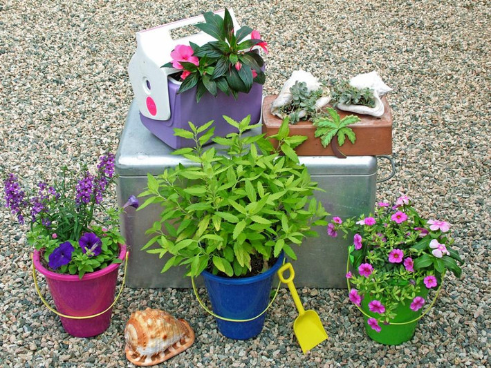 Chỉ với một số món đồ tái chế và vật dụng cũ, bạn có thể biến hóa chúng thành những chậu hoa trang trí rất dễ thương.
