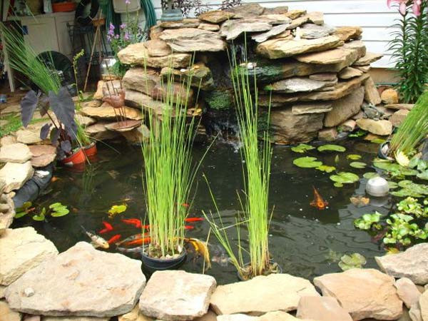 Thác nước đổ từ hang đá chảy ra ao cá.