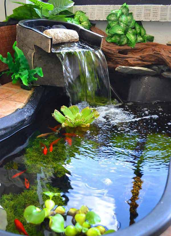 Những thác nước đổ tạo cảm giác vui nhộn cho bể cá đơn điệu.