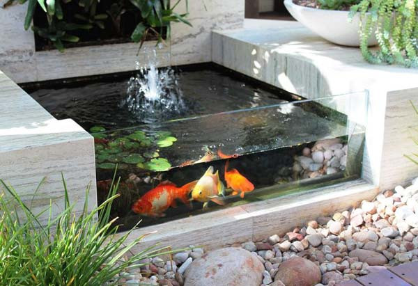 Thiết kế ao cá cảnh đơn giản ở sân sau giúp bạn có một không gian thư thái ngay trong khuôn viên nhà.