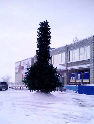 Người dân địa phương ở thành phố Noyabrsk thừa nhận họ bị thu hút bởi cây thông Noel độc dị này. Một người cho biết: "Thành thật mà nói, trông nó giống "của quý" đàn ông hơn là một cây thông Giáng sinh".