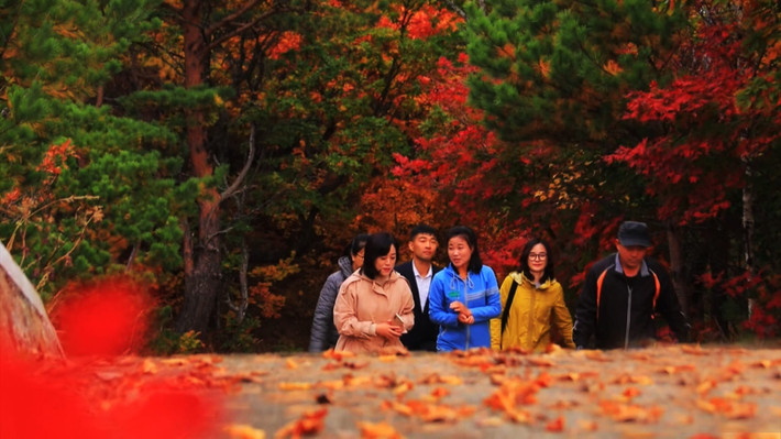 Lá chuyển màu mùa thu trên núi Chilbo của Triều Tiên. Ảnh: North Korea Girls.