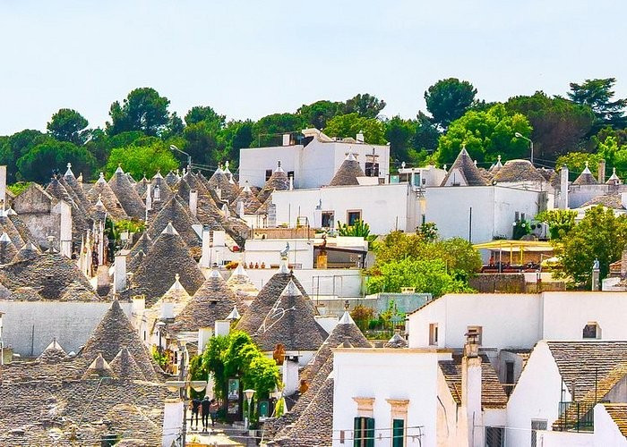Alberobello bắt nguồn từ tên Arboris Bello, có nghĩa là rừng cây đẹp mà trước đây là rừng sồi cổ xưa.