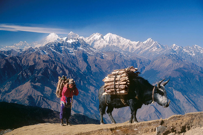 Theo số liệu năm 2012, nông nghiệp là phương tiện mưu sinh của 76% dân số Nepal và chiếm khoảng 39% tổng sản phẩm quốc nội; dịch vụ chiếm 41% và công nghiệp 22%. Hai phần ba địa hình đồi núi nằm ở phía bắc đất nước khiến việc xây dựng đường xá và các cơ sở hạ tầng khác gặp nhiều khó khăn và tốn kém chi phí.