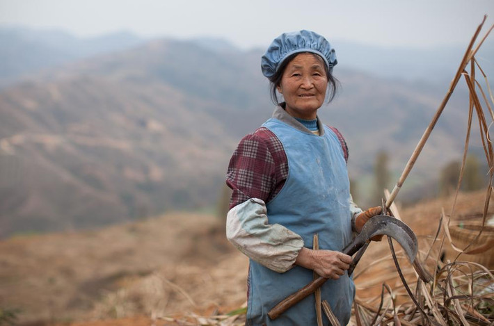 Mọi người trong làng Lina vẫn chủ yếu làm nông nghiệp như trồng mía, hạt tiêu và ngô.