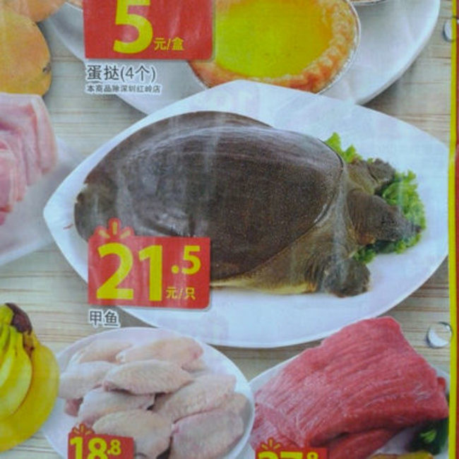 Ba ba nguyên con là một trong những mặt hàng thực phẩm tươi sống của siêu thị Trung Quốc.