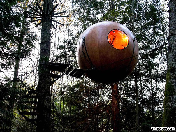 8. Khách sạn trên cây Free Spirit Spheres (Canada): Nằm ở vùng rừng nhiệt đới ven biển của thành phố Vancouver, Free Spirit Spheres là một khách sạn trên cây mang lại cho du khách những trải nghiệm độc đáo. Đường dẫn lên các phòng nghỉ của khách sạn này là cây cầu bậc thang xoắn ốc trên cao.