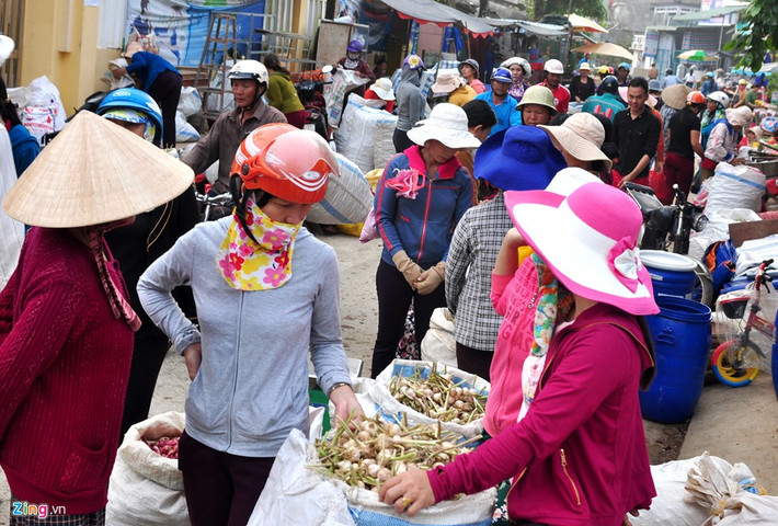Người dân Lý Sơn cho biết vào mùa cao điểm du lịch giữa năm, tỏi loại thường giao động quanh mức 120.000 đồng/kg, tỏi cô đơn đến 1,2 triệu đồng mỗi kg.