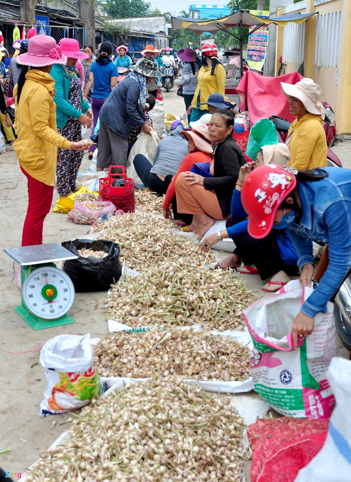 Nông dân tập kết từng ụ nông sản thẳng hàng để thương lái dễ chọn lựa, thu mua.