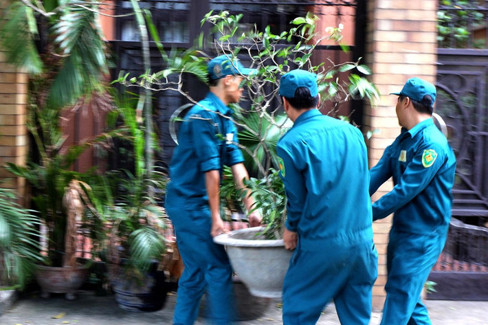 Nhiều chậu cây cảnh để chiếm lối đi của người đi bộ ngay lập tức bị lực lượng chức năng di chuyển đi nơi khác.