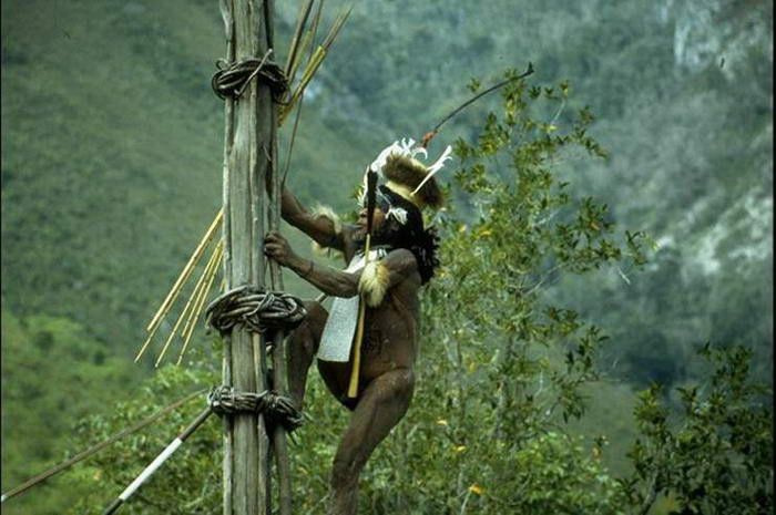 Các thành viên bộ tộc Dani ở Indonesia, chủ yếu là phụ nữ có truyền thống cắt cụt một ngón tay của mình khi một người thân yêu trong gia đình qua đời. Họ làm như vậy để hiện nỗi buồn trước cái chết của người thân.