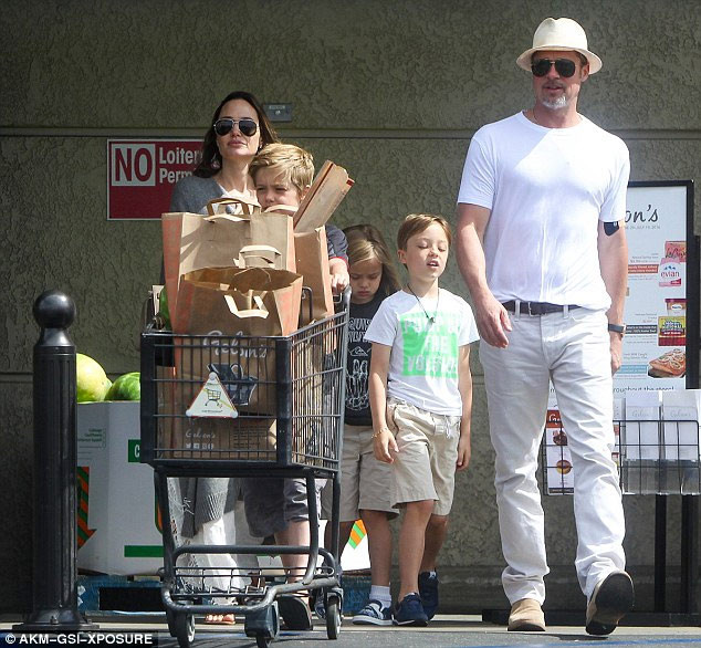 Thời gian gần đây, Brad Pitt và Angelina Jolie ít có thời gian bên nhau vì lịch làm việc của cả hai người đều dày đặc.