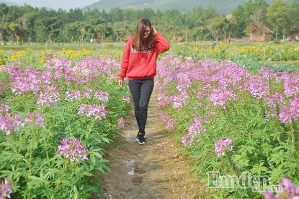 Theo chia sẻ của bạn Ngọc (Quảng Ninh), dù cách trung tâm thành phố không xa nhưng để di chuyển đến đây bạn cũng phải mất cả tiếng đồng hồ. Đường đi vào có đoạn đang thi công nên khá khó đi, bên cạnh đó mọi người còn cần lưu ý tránh xe tải khi di chuyển, nhất là qua đoạn đường đèo khó cua, khuất tầm nhìn.