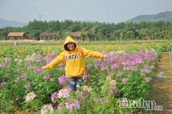 "Thiên đường hoa Quảng La" ở xã Tân Dân, huyện Hoành Bồ, Quảng Ninh, là điểm hẹn lý tưởng cho những người yêu hoa và đam mê chụp ảnh.