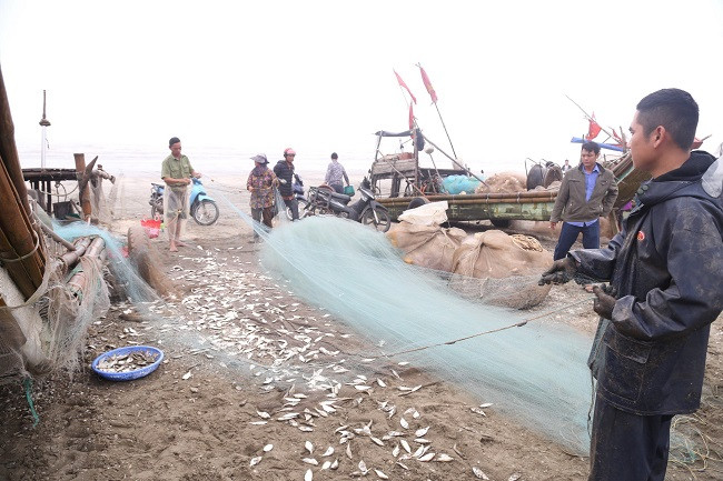 Những ngày gần đây, cứ vào mỗi sáng, dọc bãi biển các xã Diễn Kim, Diễn Hải, Diễn Hùng, Diễn Thành,… huyện Diễn Châu (Nghệ An) lại nhộn nhịp các tàu, thuyền đánh cá trở về, đón “lộc biển” đầu năm.