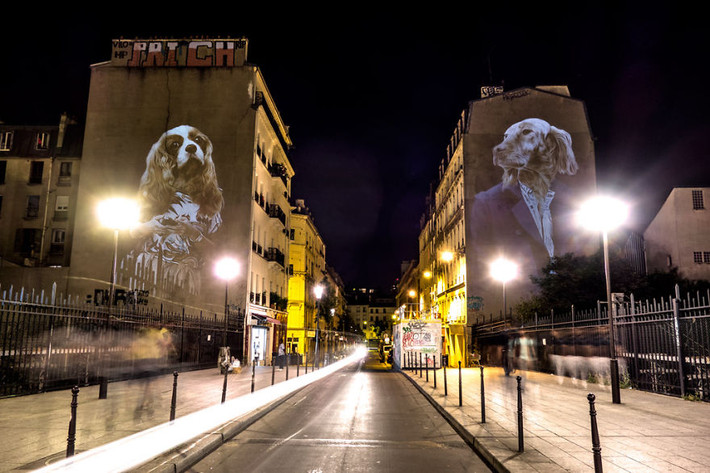 Những chú cún con "ngồi" trên tường của các tòa nhà cao tầng ở Paris.