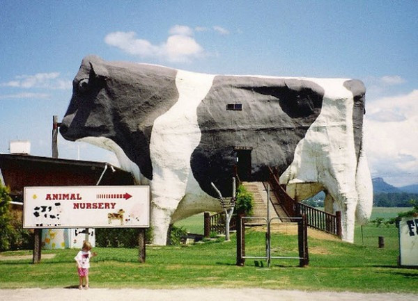Ngôi nhà hình chú bò sữa được đặt gần Wauchope, New South Wales, Úc. "Big Bull" được xây dựng bởi kiến trúc sư Peter Russell-Clarke từ 4/7/1987. Chú bò sữa khổng lồ này dài 22 mét và cao 14 mét, nằm giữa trung tâm thú y và một trang trại bò sữa gần Wauchope.