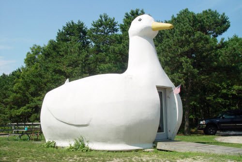 Tòa nhà Big Duck mang dáng dấp chú vịt khổng lồ được xây dựng bởi một nông dân chăn vịt Martin Maurer tại Flanders, Long Island, New York (Mỹ). Trước đây, nó được sử dụng như một nơi để bán vịt con và trứng vịt.