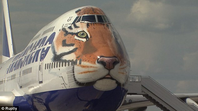 Chiếc máy bay Boeing 747-400 hình đầu hổ vô cùng ấn tượng.