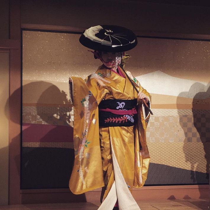 Geisha Nhật Bản là nghệ sĩ thành thạo nhảy múa, ca hát, biết chơi các nhạc cụ truyền thống, cắm hoa... Họ là người dẫn dắt câu chuyện trở nên vui vẻ trong các bữa tiệc rượu của giới thượng lưu Nhật Bản.