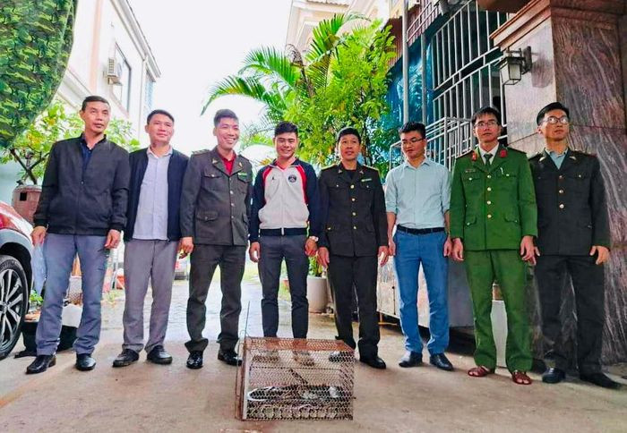 Vào chiều ngày 27/11, một cá thể trăn đất đã được Hạt Kiểm lâm huyện Nghi Xuân, tỉnh Hà Tĩnh phối hợp với Công an xã Xuân Liên bàn giao cho Vườn Quốc gia Vũ Quang để thả về môi trường tự nhiên.