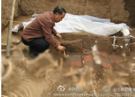 Khi khai quật lăng mộ của thái hậu Hạ, các chuyên gia tìm thấy 2 cỗ xe ngựa và 12 bộ xương ngựa. Từ đây, các chuyên gia suy đoán mỗi chiếc xe được kéo bởi 6 con ngựa. Đây là biểu tượng thể hiện quyền lực và địa vị của hoàng đế và các thành viên trong hoàng tộc.